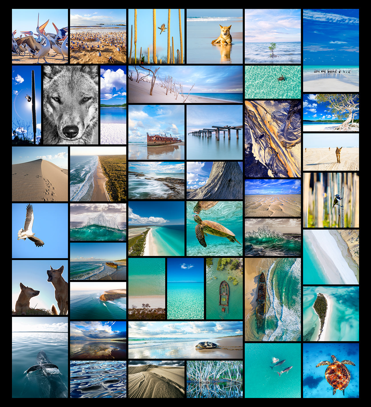 Blue Compilation