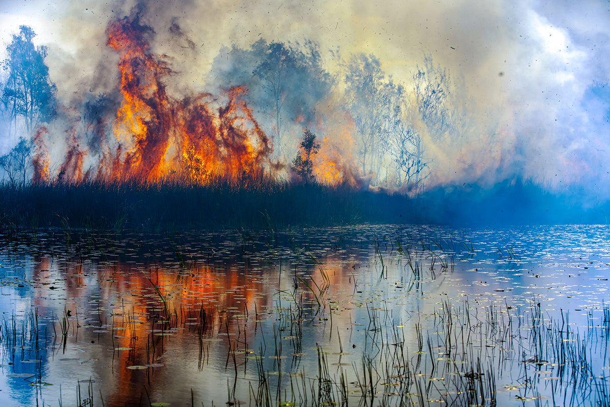 'FLAMES #6' Fuel reduction fire - LIMITED EDITION