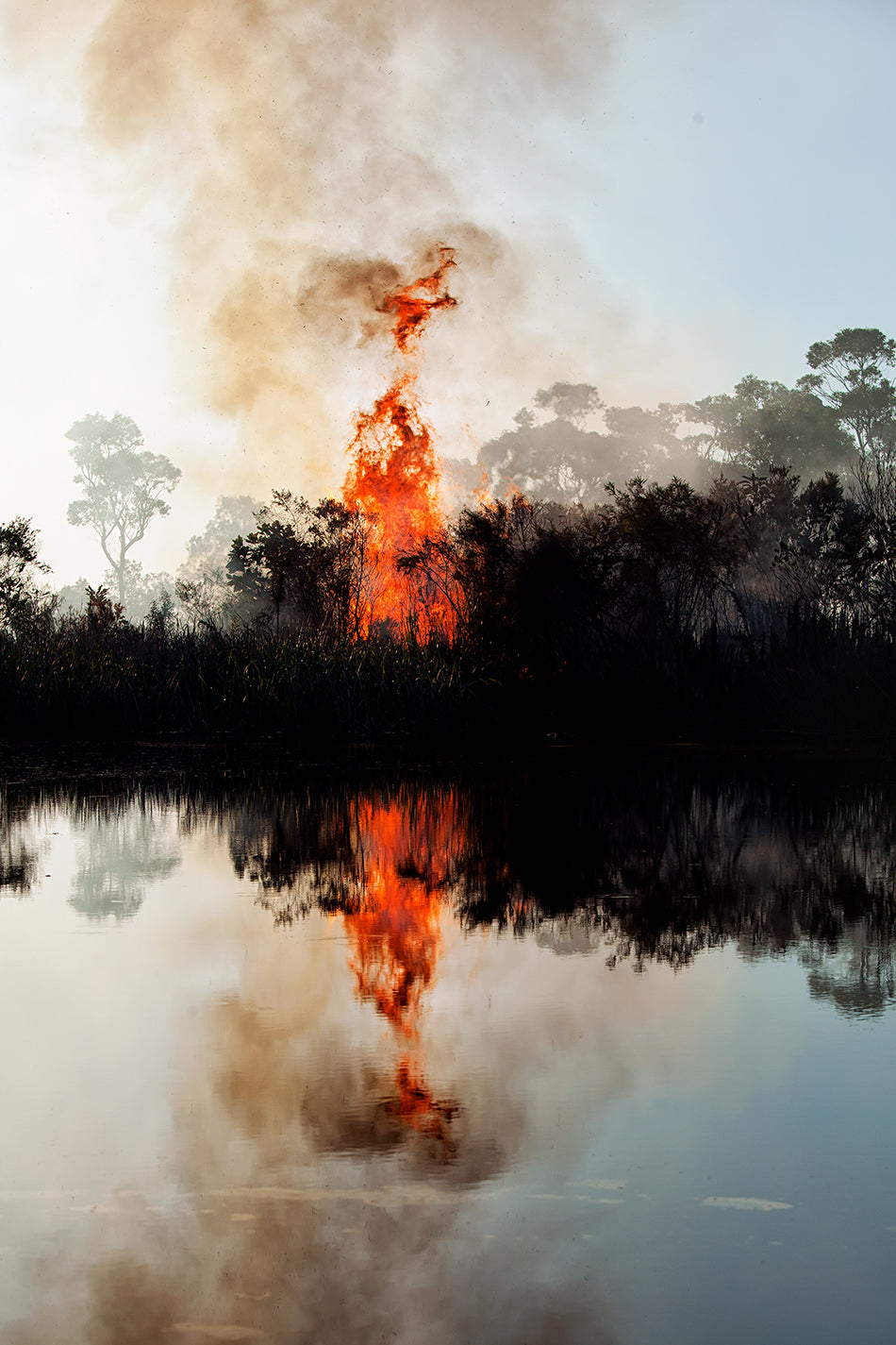 Flames #3