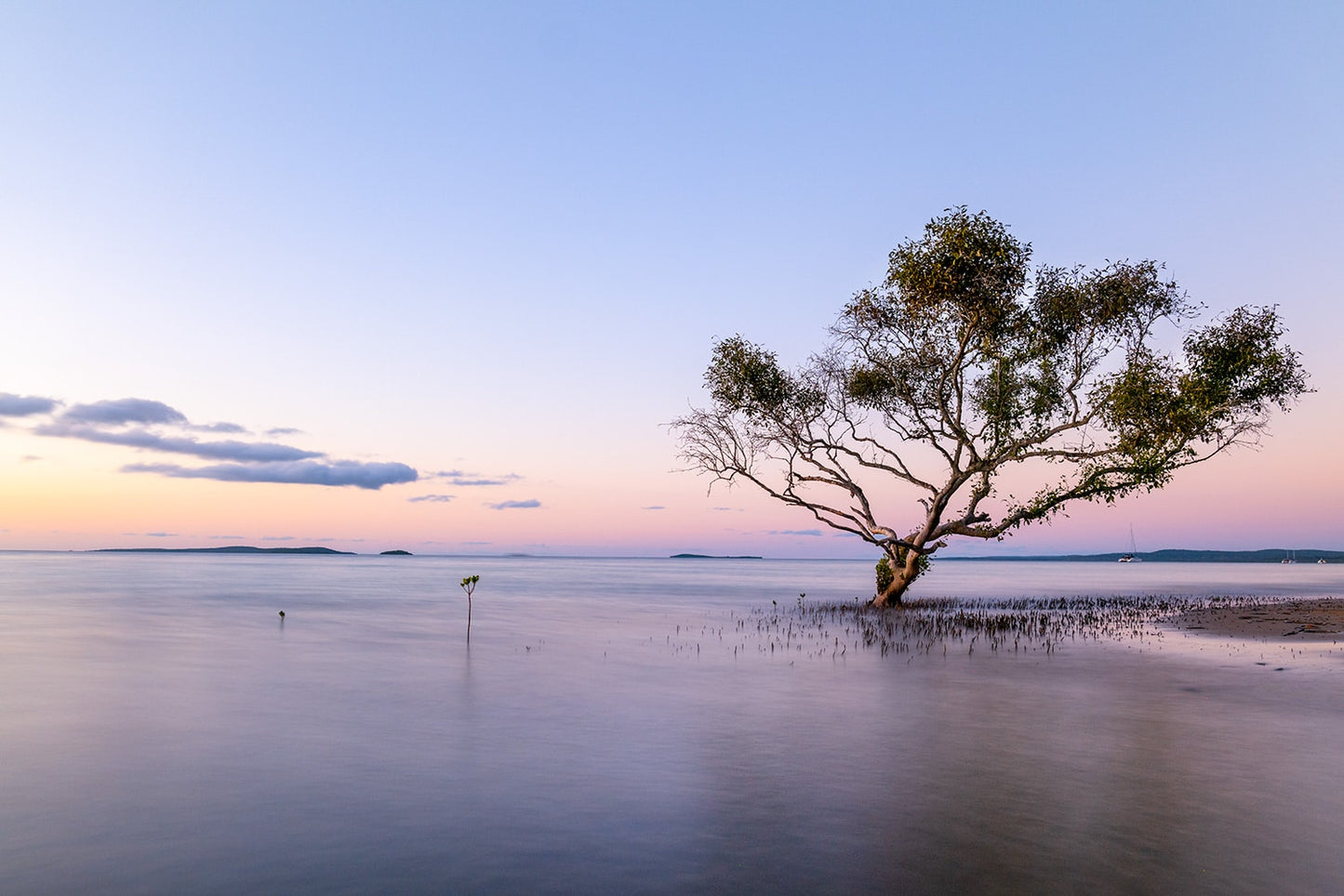 Serenity