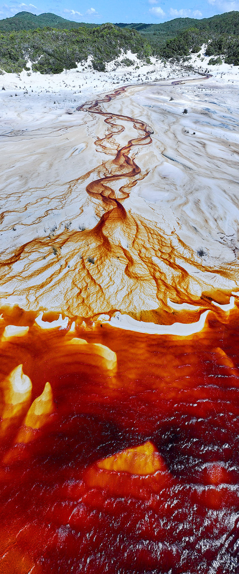 Arterial