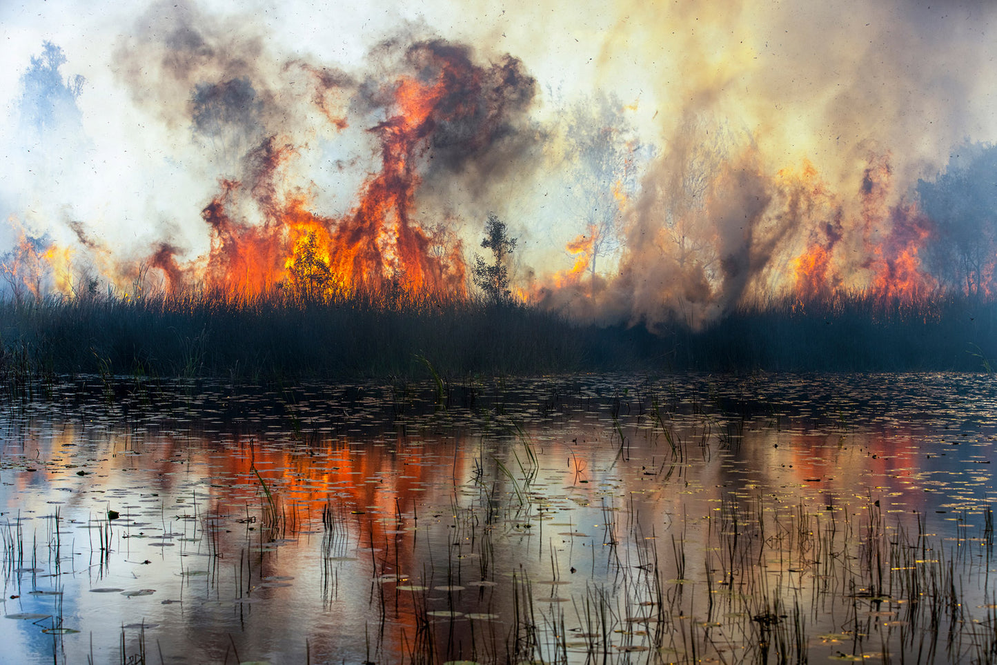 Flames #4
