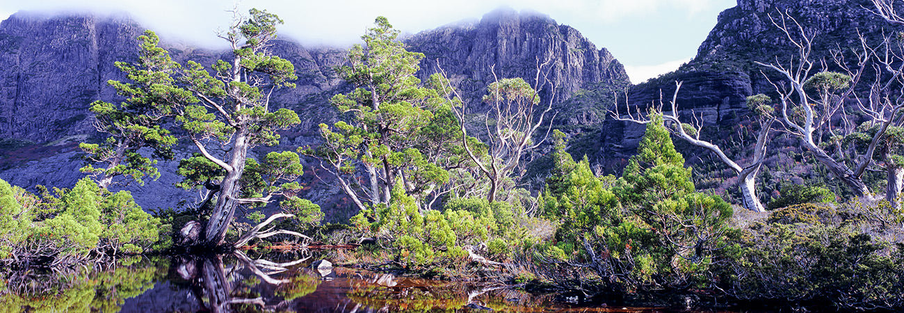 Artists Pool, Cradle Mountain