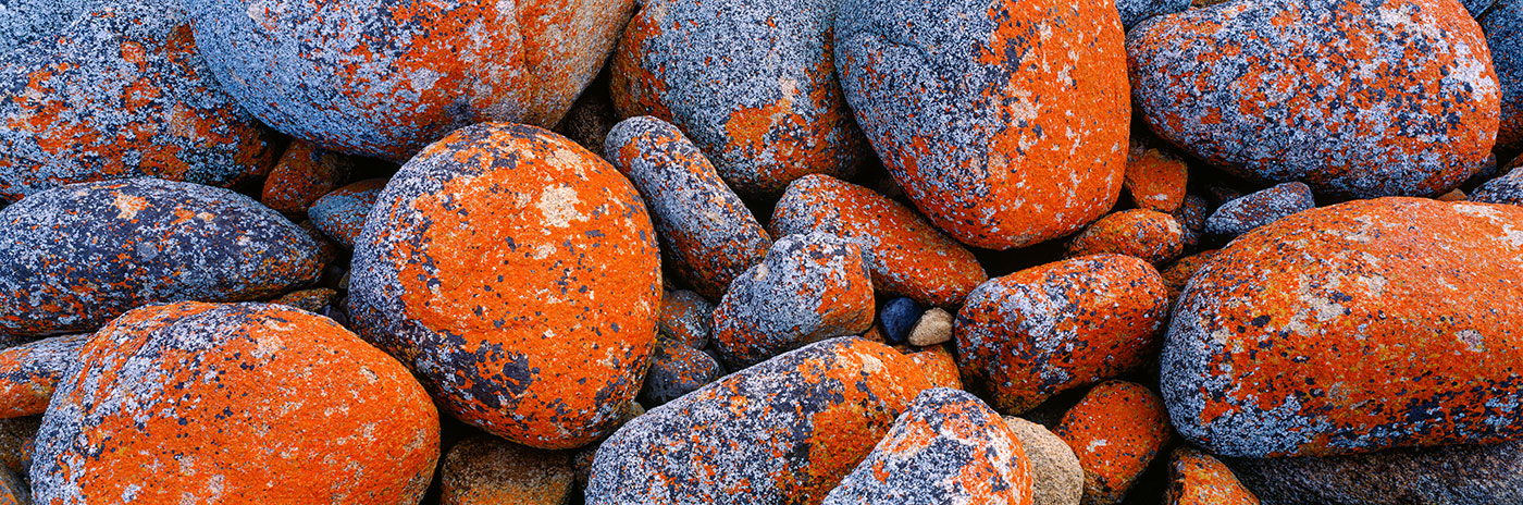 Bay of Fires Boulders