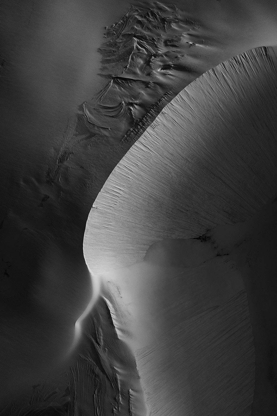 Cusp B&W