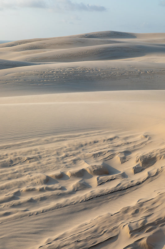 Sandy Acres