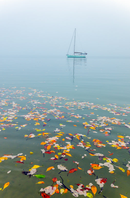 Still Waters, West Coast.