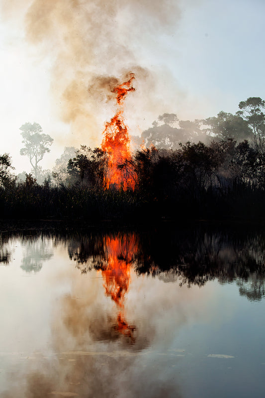 Flames #3