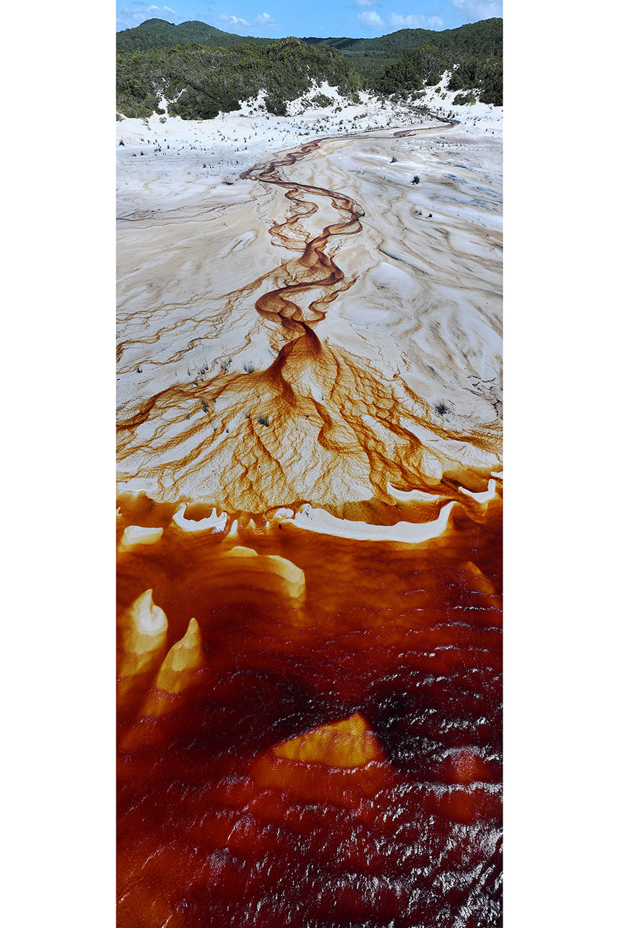 Arterial