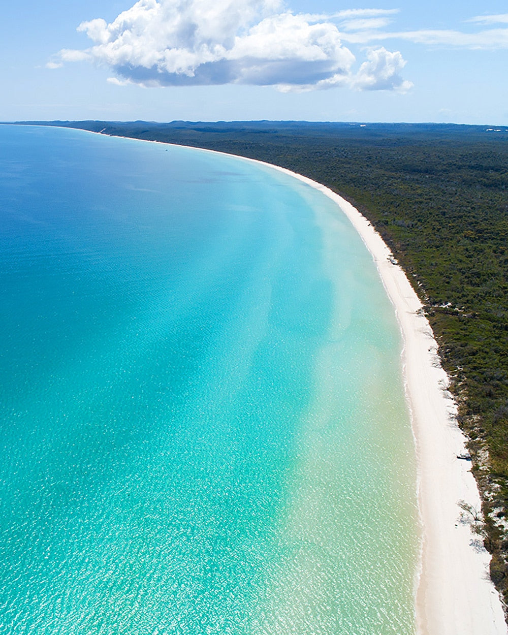 Platypus Bay