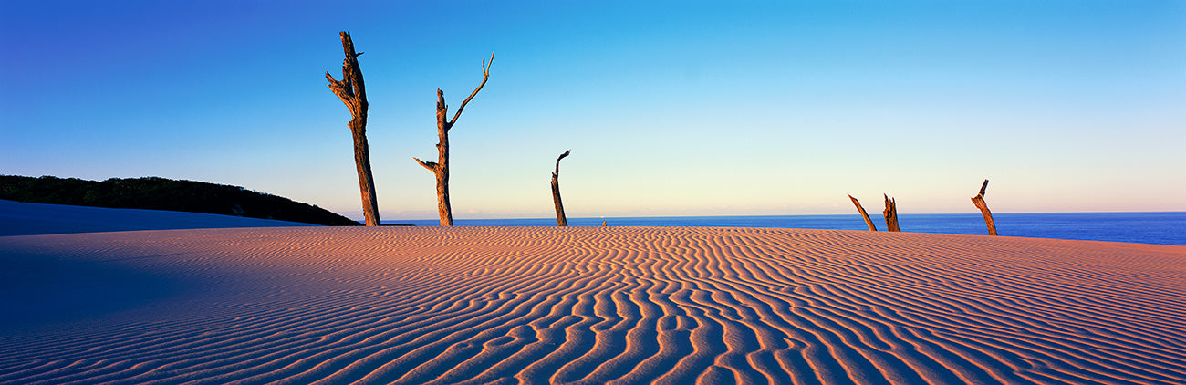 Twilight over Stonetool Sandblow