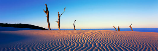 Twilight over Stonetool Sandblow
