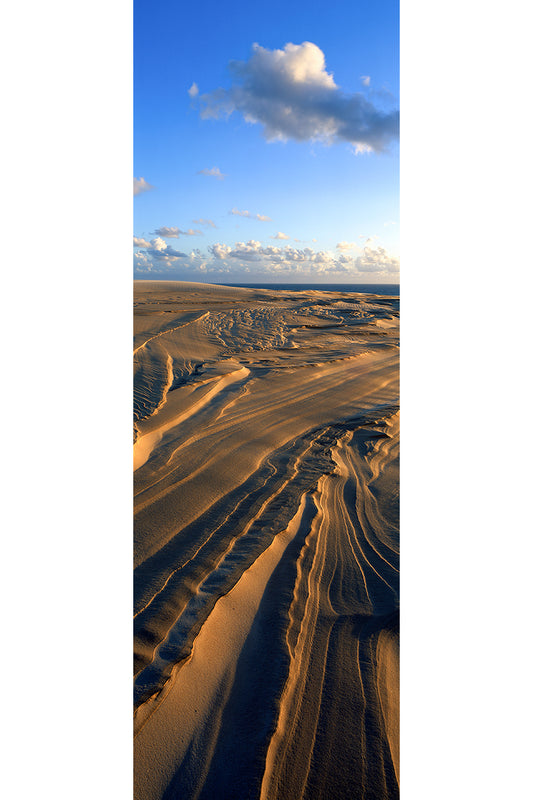 Wind Carvings