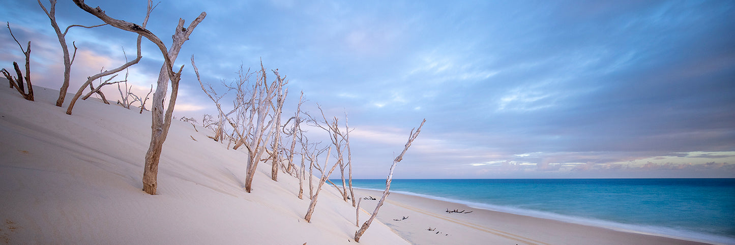 Remnants, Sandy Cape