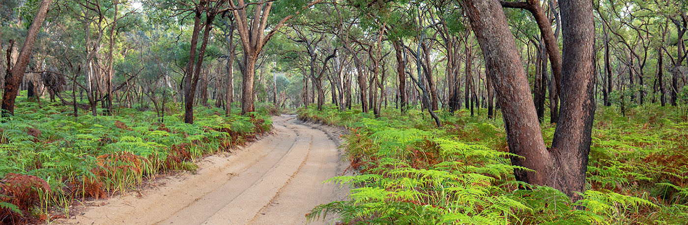 Country Road