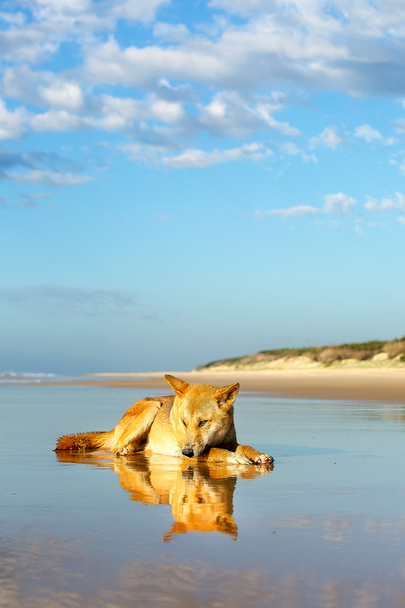 Beach Bum #2