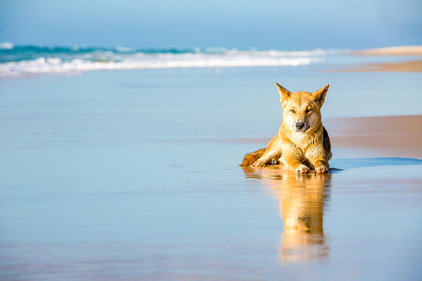 Beach Bum