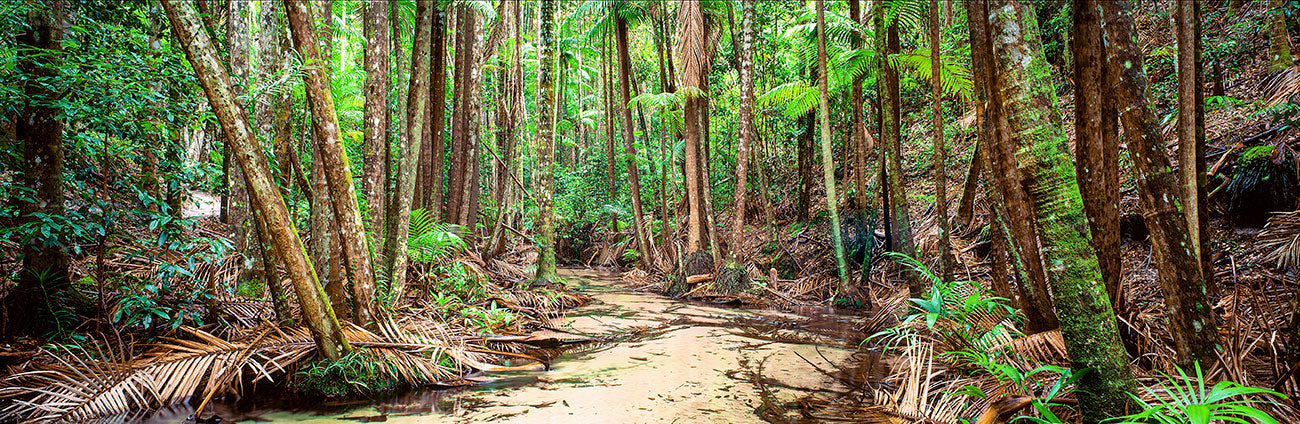 Wanggoolba Creek