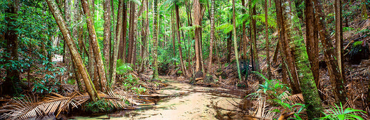 Wanggoolba Creek