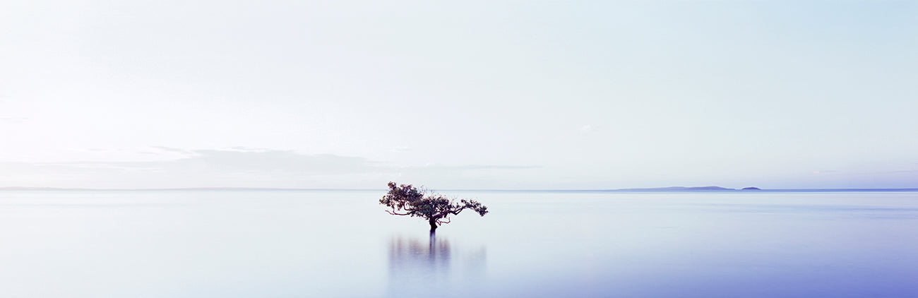 Zen