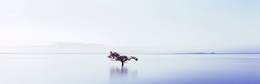 Zen