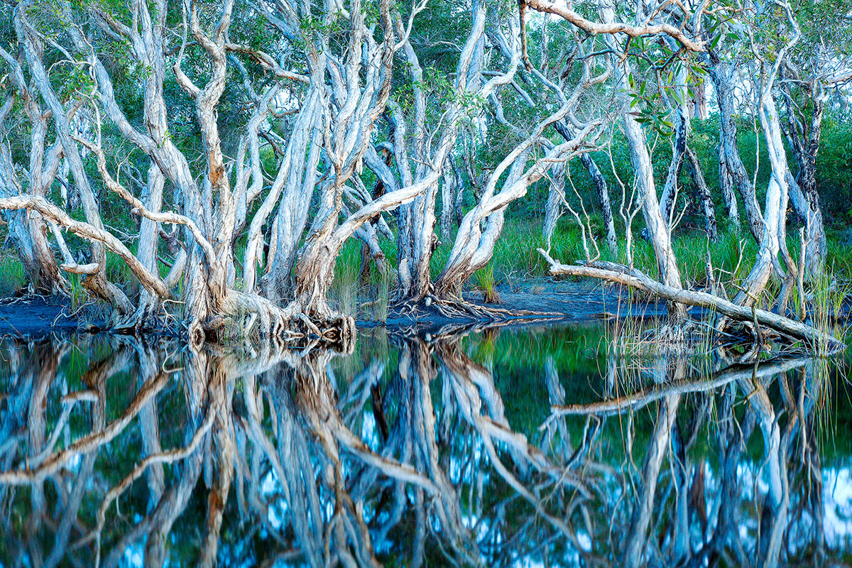 Crazy Reflections