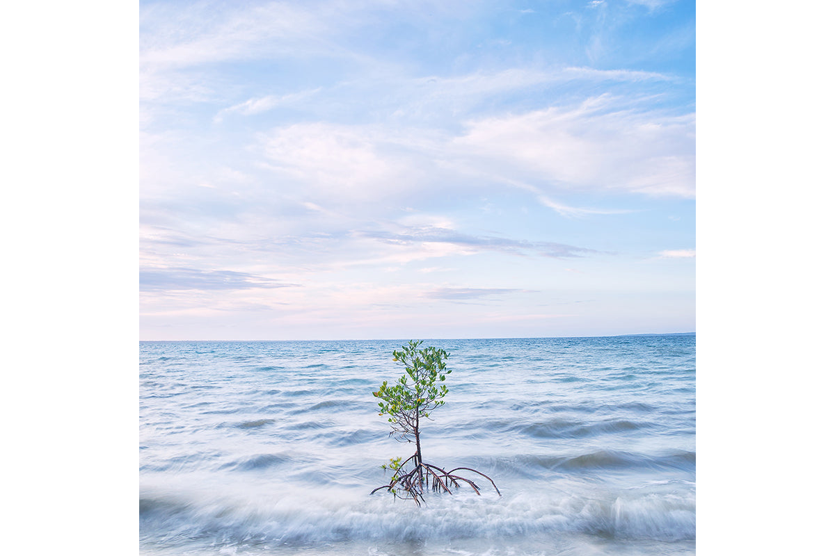 Resilient