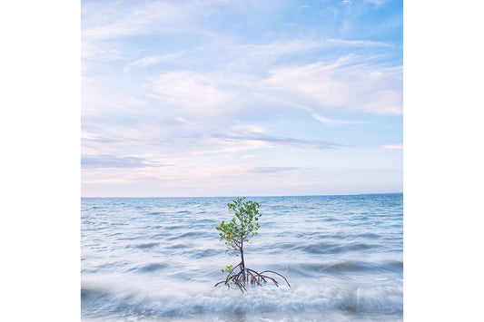 Resilient