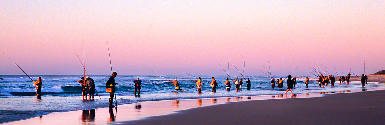 Tailor Fishing