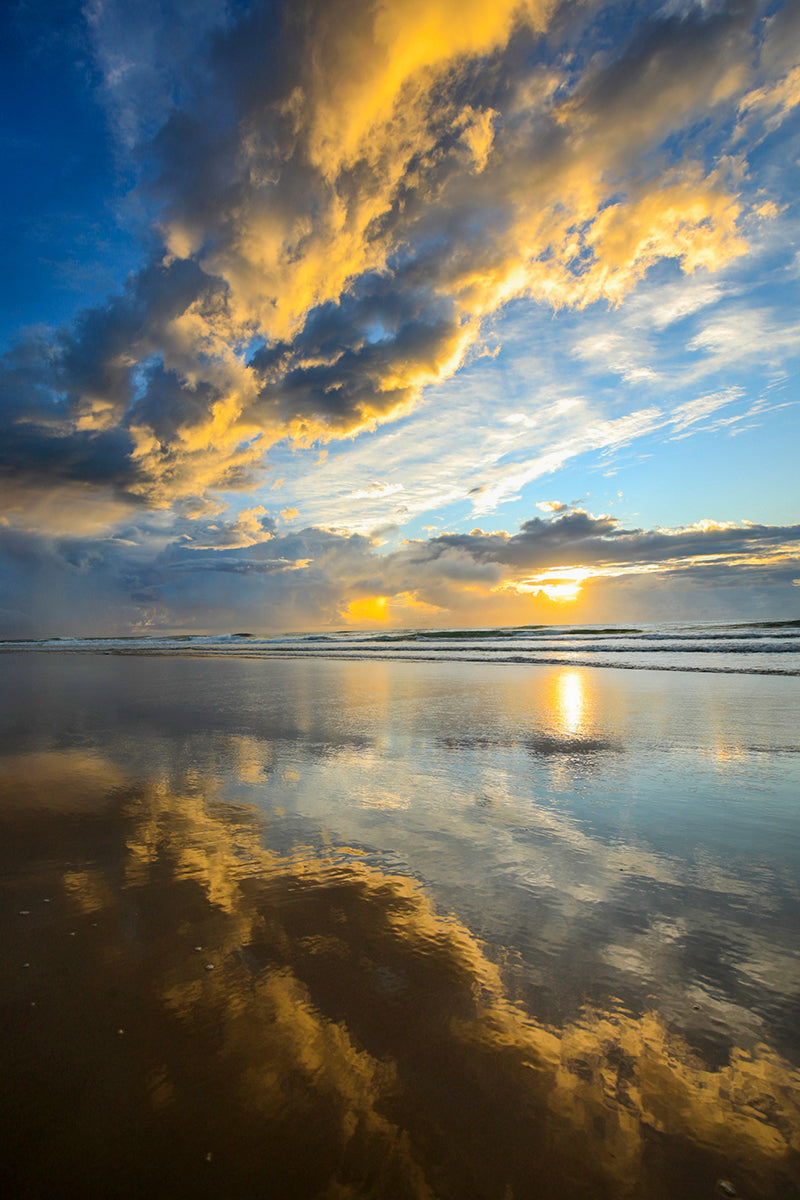 Breaking Dawn