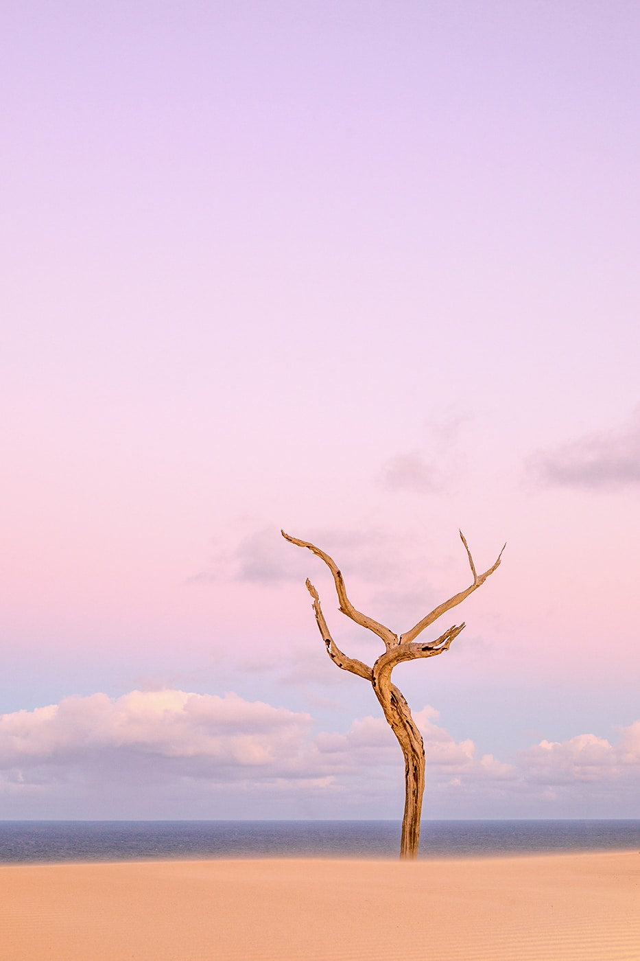 The Tiny Dancer, Stonetool Sandblow