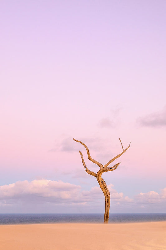 The Tiny Dancer, Stonetool Sandblow