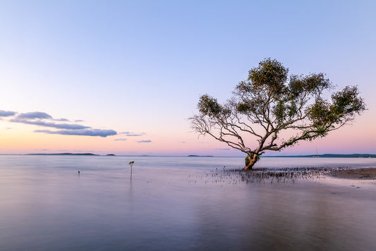 Serenity