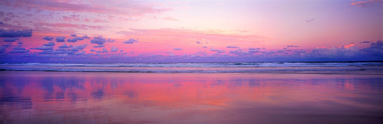 Purple Haze
