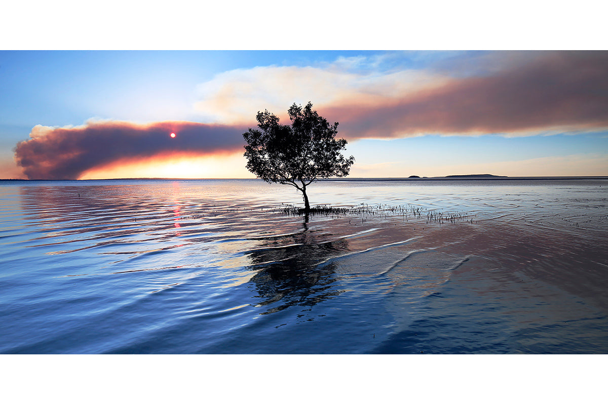 Smoke on the Water