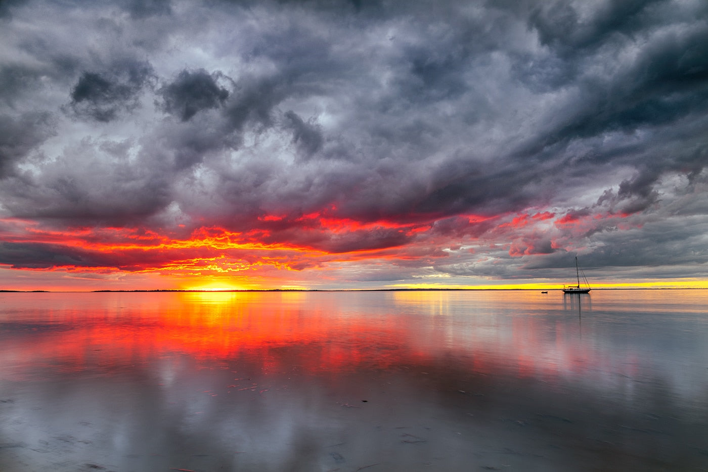 Sailors Delight