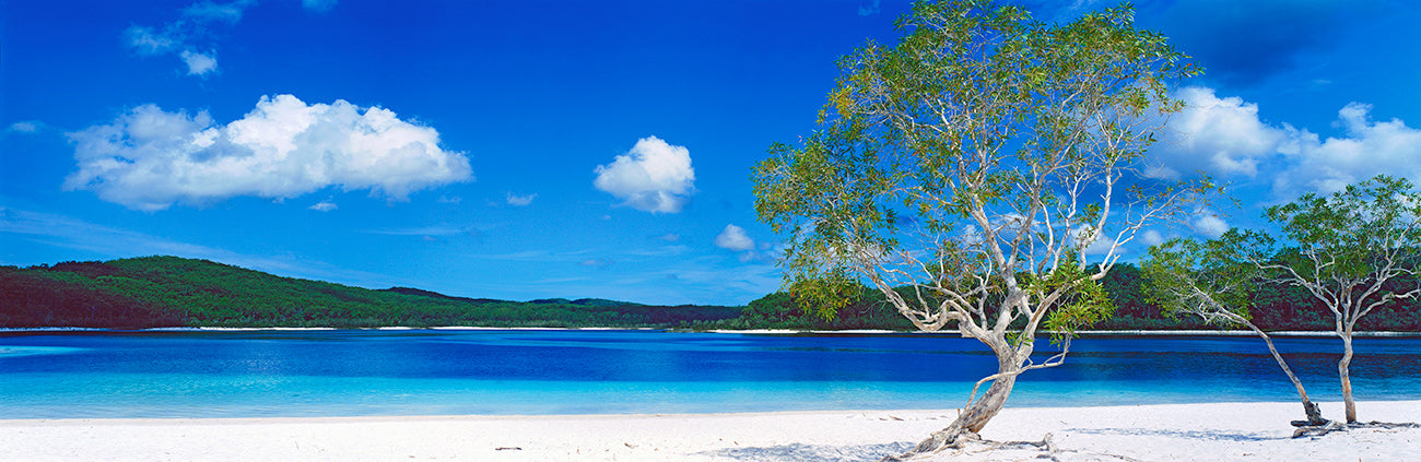 Paradise