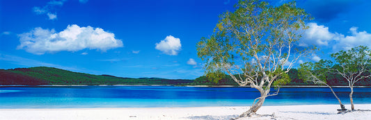 Paradise