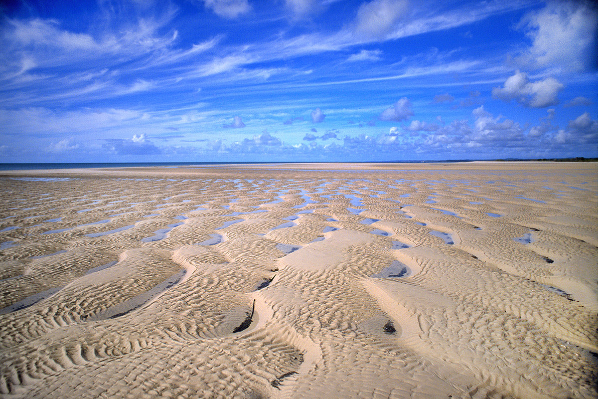 Low Tide @ Coongul Creek