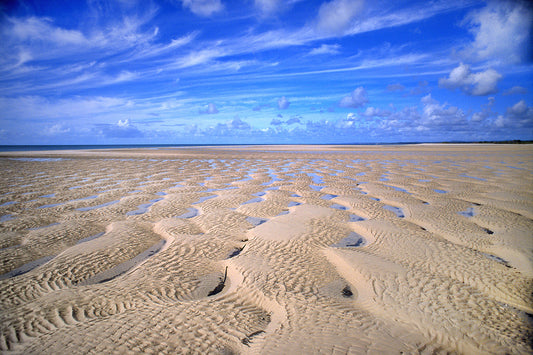 Low Tide @ Coongul Creek