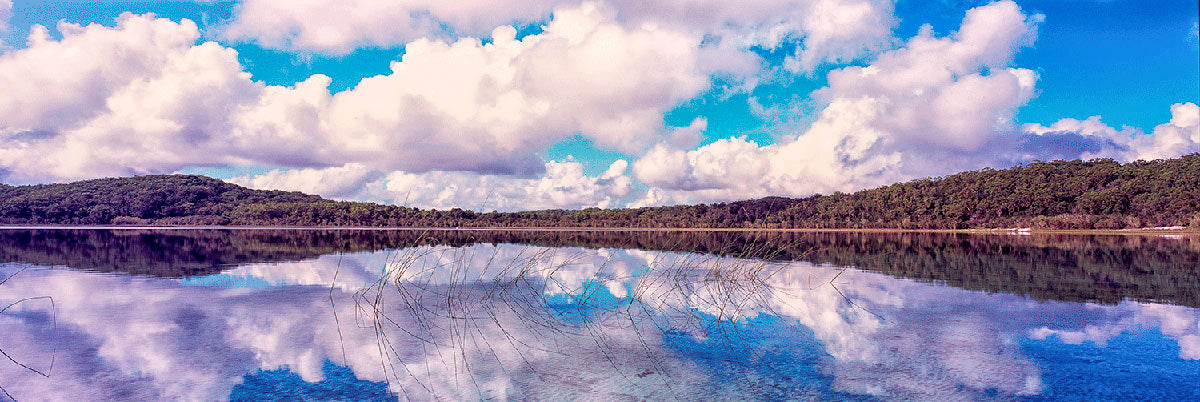 Birrabeen Cotton Candy