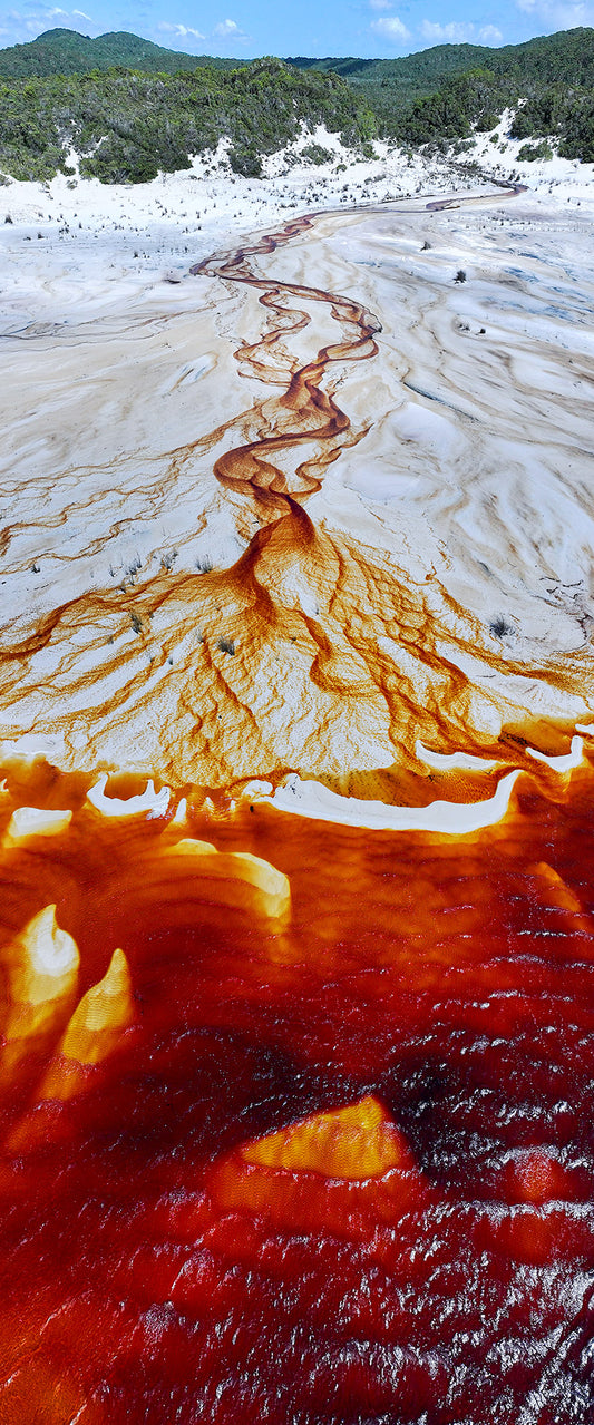 Arterial