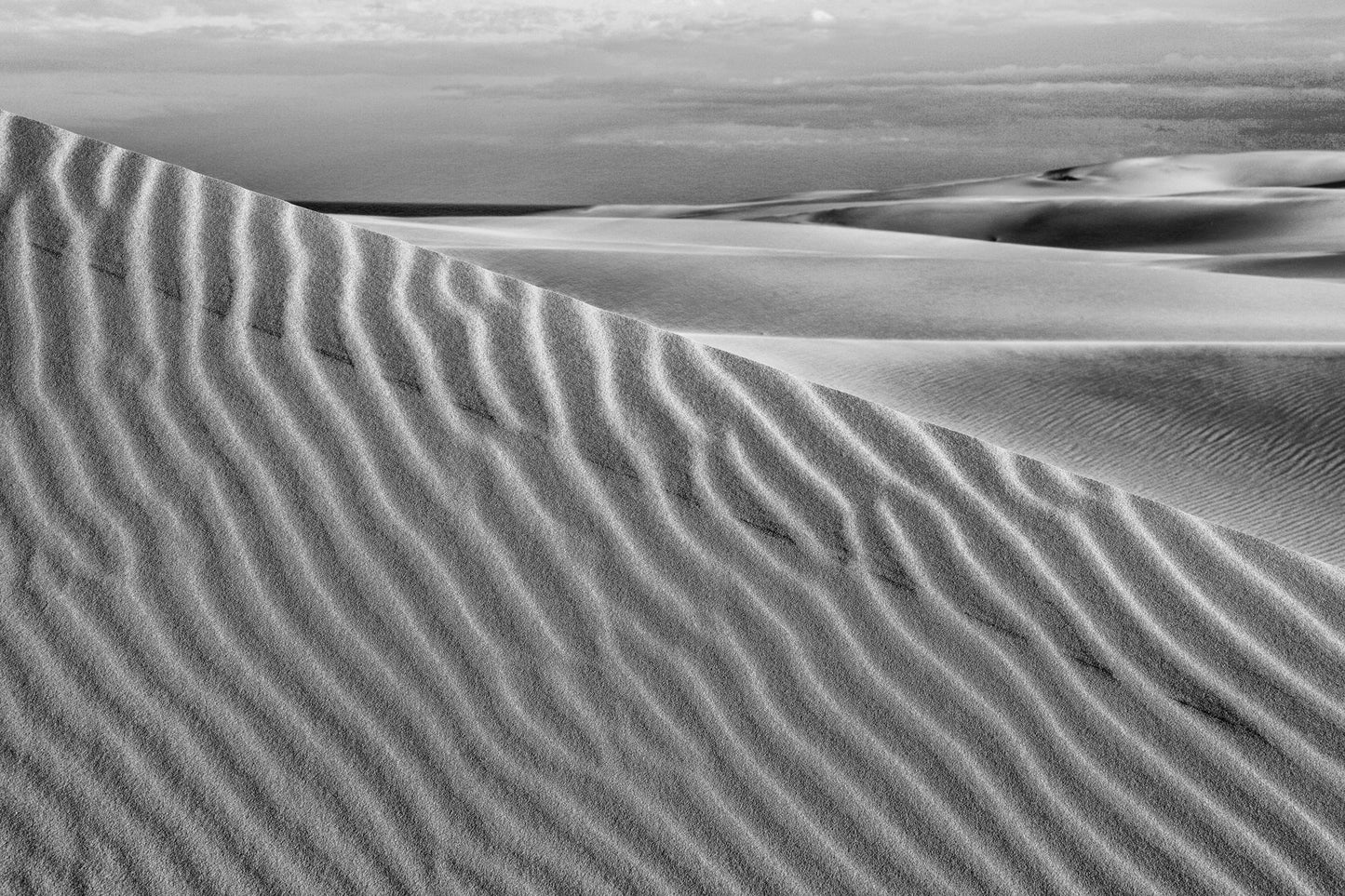 Dune Face