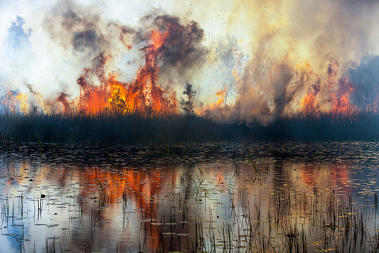 Flames #4