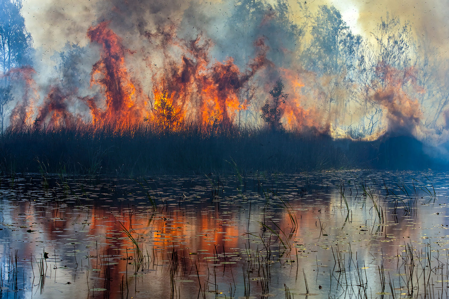 Flames #5