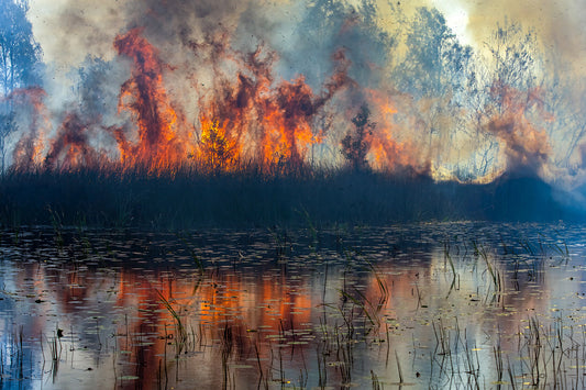 Flames #5