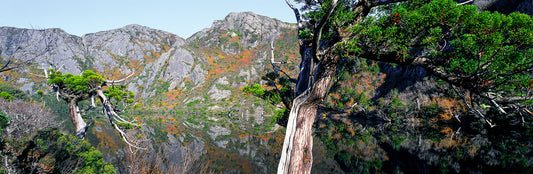 Crater Lake #2, Cradle Mountain