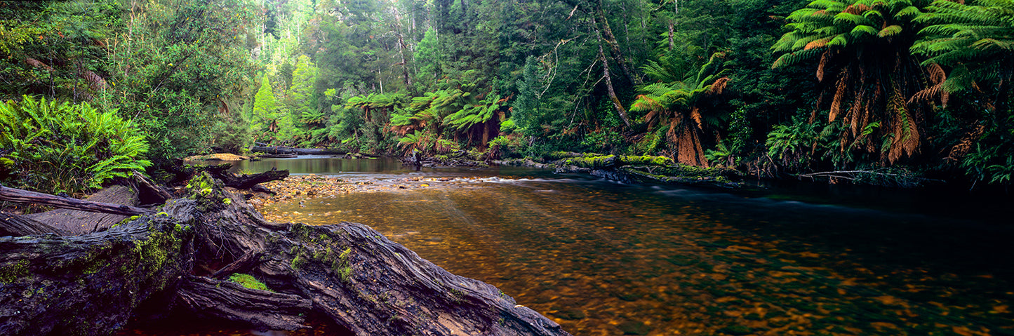 The Styx River #2